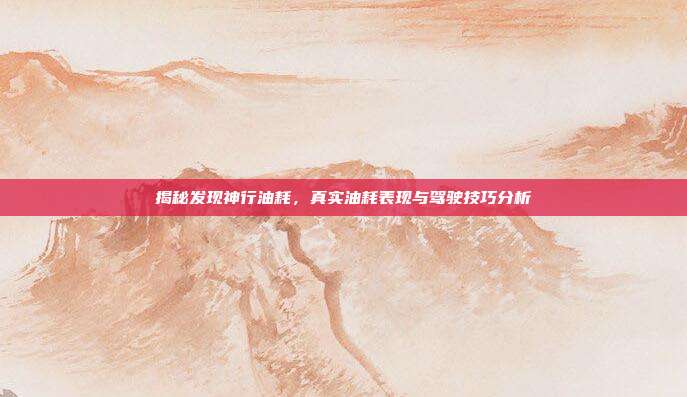 揭秘发现神行油耗，真实油耗表现与驾驶技巧分析