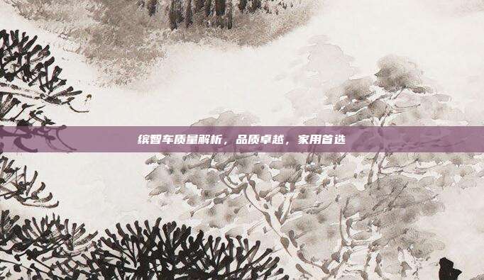 缤智车质量解析，品质卓越，家用首选