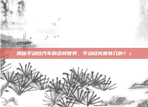 揭秘手动档汽车的多样世界，手动档究竟有几种？」