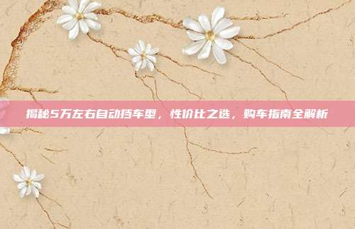揭秘5万左右自动挡车型，性价比之选，购车指南全解析