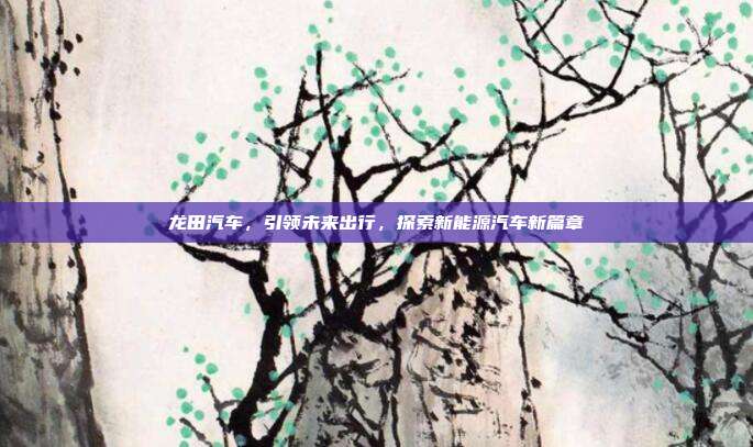 龙田汽车，引领未来出行，探索新能源汽车新篇章