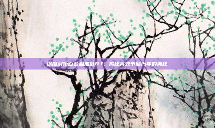 深度解析百公里油耗8.1，揭秘高效节能汽车的奥秘