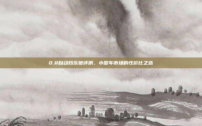0.8自动挡乐驰评测，小型车市场的性价比之选