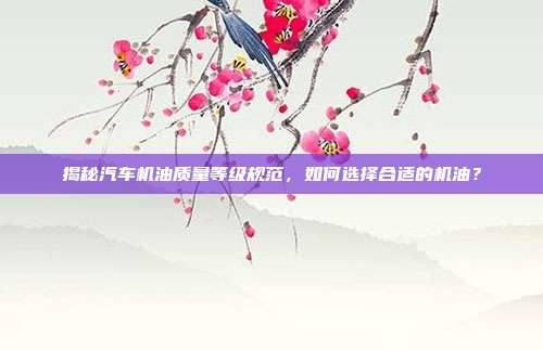 揭秘汽车机油质量等级规范，如何选择合适的机油？