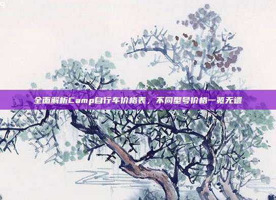 全面解析Camp自行车价格表，不同型号价格一览无遗