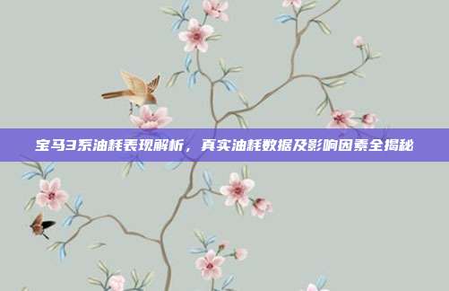 宝马3系油耗表现解析，真实油耗数据及影响因素全揭秘