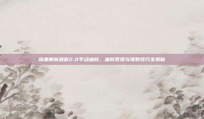 深度解析逍客2.0手动油耗，油耗表现与驾驶技巧全揭秘