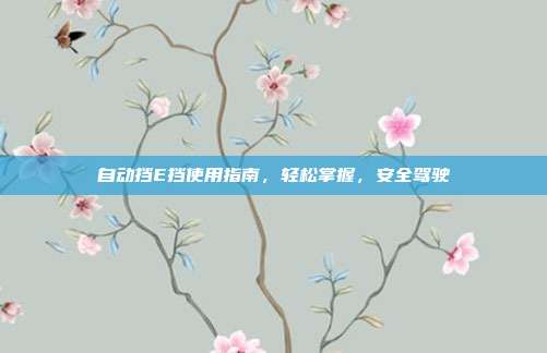自动挡E挡使用指南，轻松掌握，安全驾驶