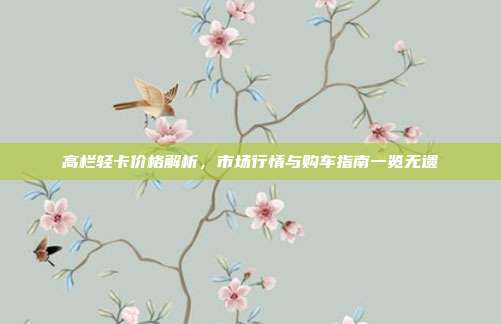 高栏轻卡价格解析，市场行情与购车指南一览无遗