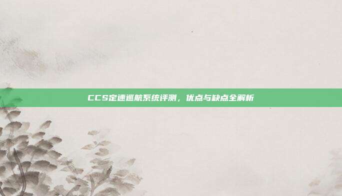 CCS定速巡航系统评测，优点与缺点全解析