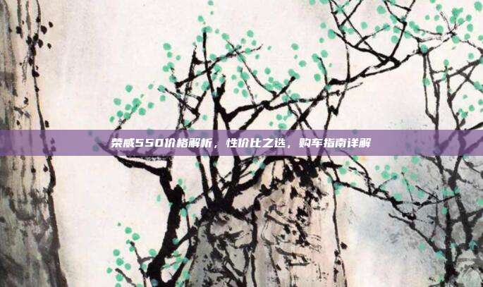 荣威550价格解析，性价比之选，购车指南详解