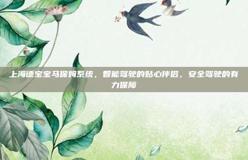 上海德宝宝马保姆系统，智能驾驶的贴心伴侣，安全驾驶的有力保障