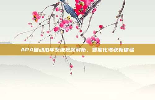 APA自动泊车系统视频解析，智能化驾驶新体验