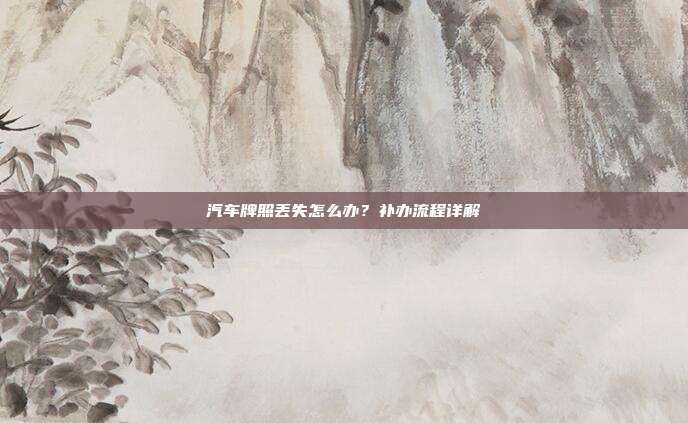 汽车牌照丢失怎么办？补办流程详解