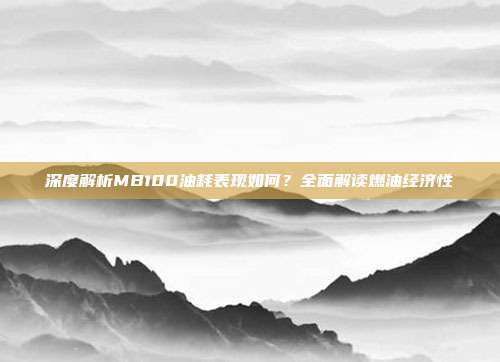 深度解析MB100油耗表现如何？全面解读燃油经济性