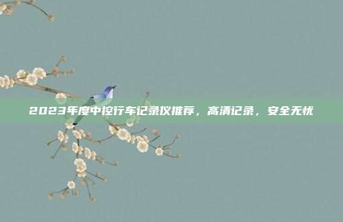 2023年度中控行车记录仪推荐，高清记录，安全无忧