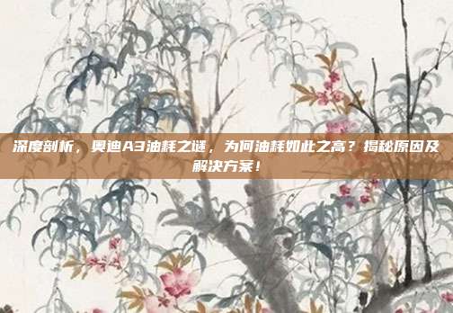 深度剖析，奥迪A3油耗之谜，为何油耗如此之高？揭秘原因及解决方案！