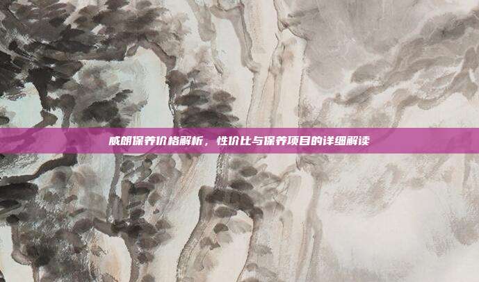 威朗保养价格解析，性价比与保养项目的详细解读