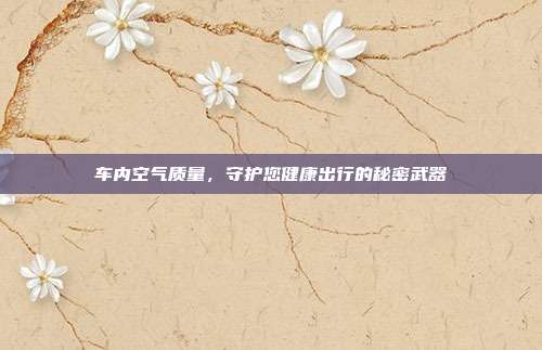 车内空气质量，守护您健康出行的秘密武器
