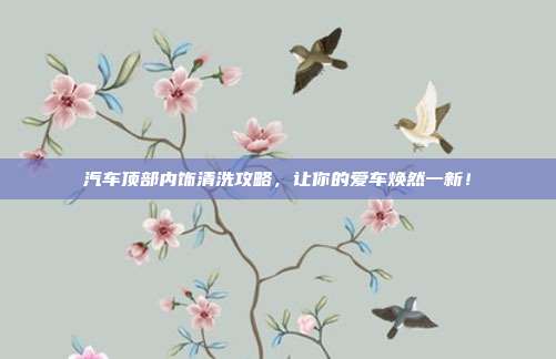 汽车顶部内饰清洗攻略，让你的爱车焕然一新！