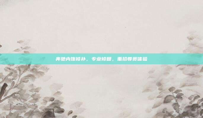 奔驰内饰修补，专业修复，重拾尊贵体验