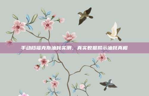 手动档福克斯油耗实测，真实数据揭示油耗真相