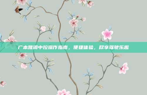 广本雅阁中控操作指南，便捷体验，尽享驾驶乐趣