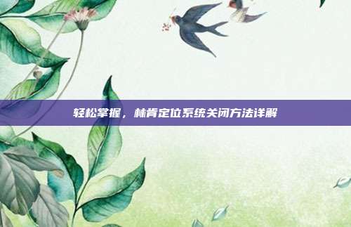 轻松掌握，林肯定位系统关闭方法详解