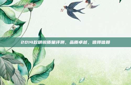 2014款明锐质量评测，品质卓越，值得信赖