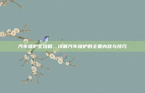 汽车维护全攻略，详解汽车维护的主要内容与技巧