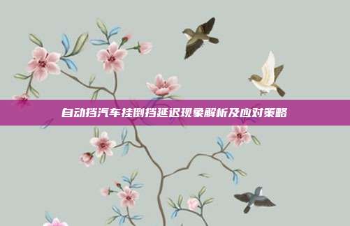 自动挡汽车挂倒挡延迟现象解析及应对策略