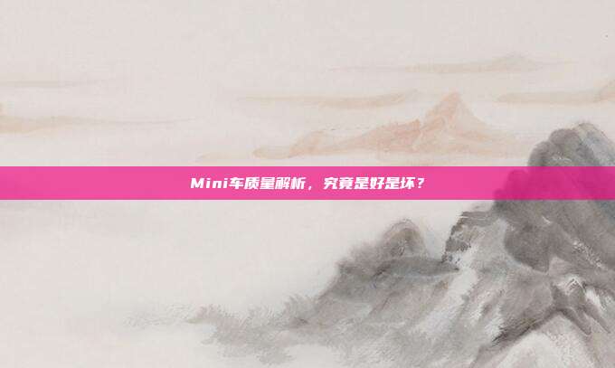 Mini车质量解析，究竟是好是坏？