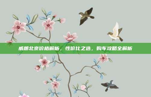 威朗北京价格解析，性价比之选，购车攻略全解析