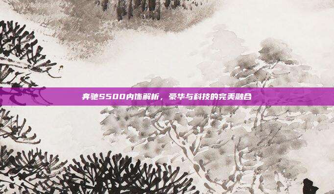 奔驰S500内饰解析，豪华与科技的完美融合