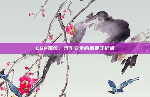 ESP系统，汽车安全的重要守护者