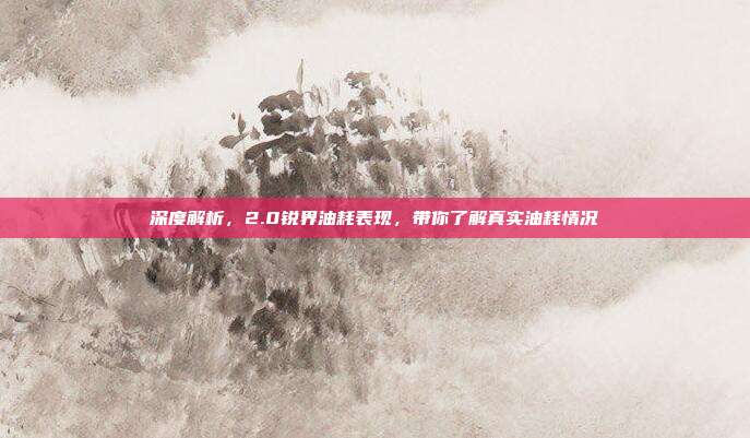 深度解析，2.0锐界油耗表现，带你了解真实油耗情况