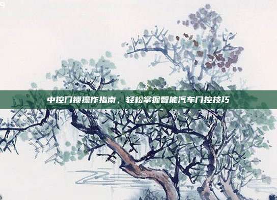 中控门锁操作指南，轻松掌握智能汽车门控技巧