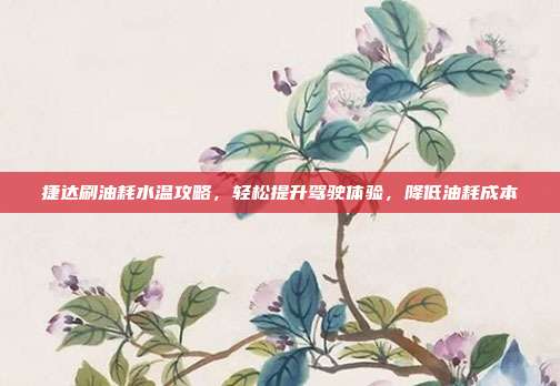 捷达刷油耗水温攻略，轻松提升驾驶体验，降低油耗成本