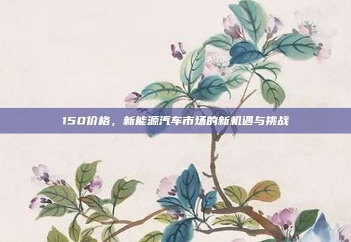 150价格，新能源汽车市场的新机遇与挑战
