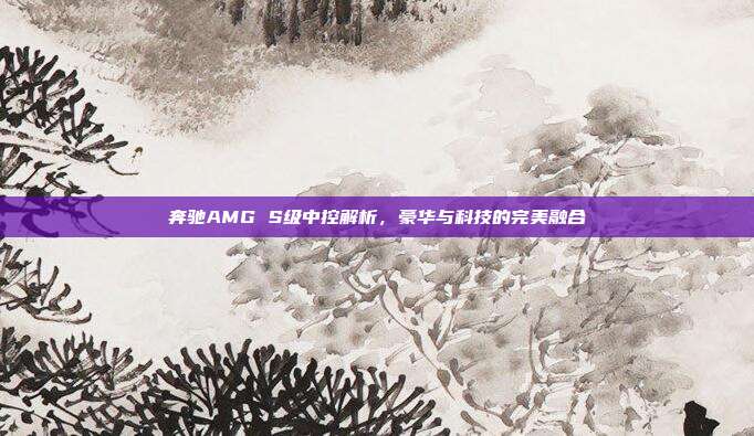 奔驰AMG S级中控解析，豪华与科技的完美融合