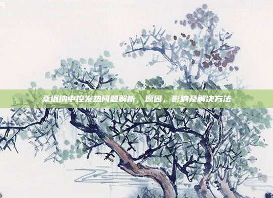桑塔纳中控发热问题解析，原因、影响及解决方法