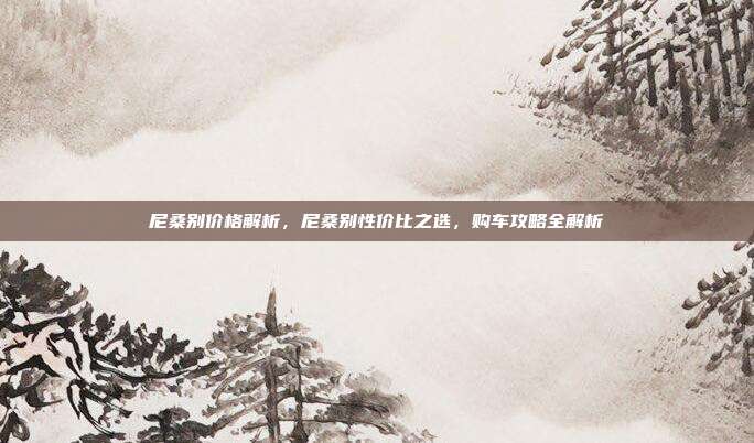 尼桑别价格解析，尼桑别性价比之选，购车攻略全解析