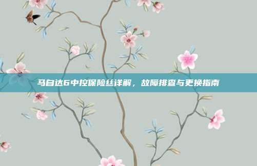 马自达6中控保险丝详解，故障排查与更换指南
