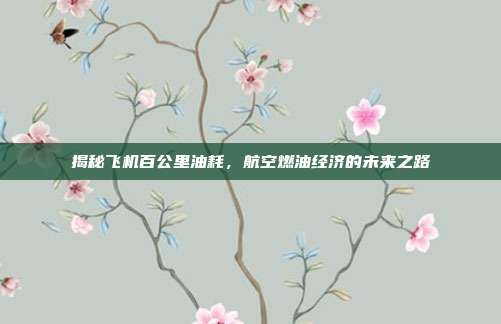 揭秘飞机百公里油耗，航空燃油经济的未来之路
