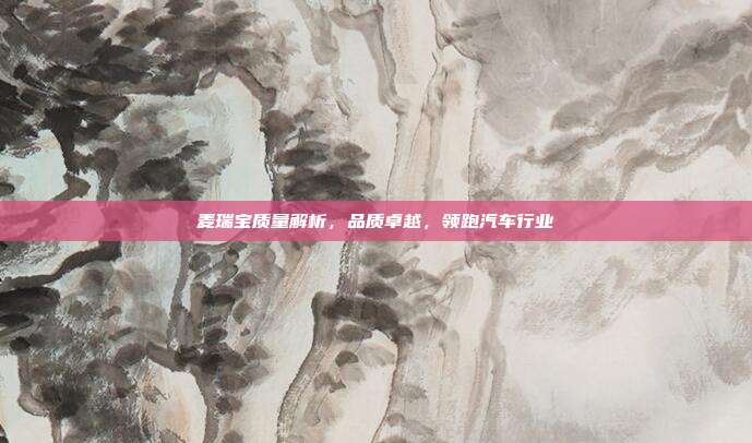 麦瑞宝质量解析，品质卓越，领跑汽车行业