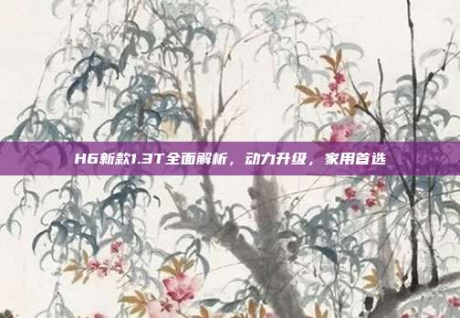 H6新款1.3T全面解析，动力升级，家用首选