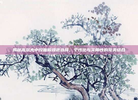 揭秘高尔夫中控面板颜色选择，个性化与实用性的完美结合