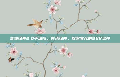 奇骏经典2.0手动挡，传承经典，驾驭非凡的SUV选择