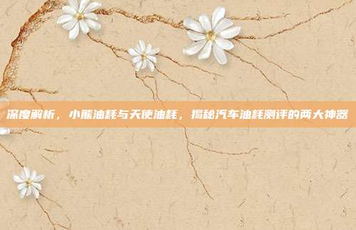 深度解析，小熊油耗与天使油耗，揭秘汽车油耗测评的两大神器
