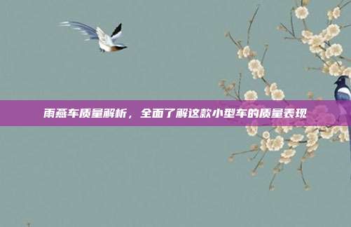 雨燕车质量解析，全面了解这款小型车的质量表现